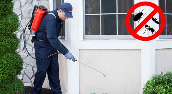 Pertek Kene İlaçlama böcek ilaçlama ve haşere kontrolü — ilaclama-tr.com